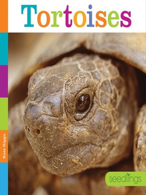 cover image of Tortoises